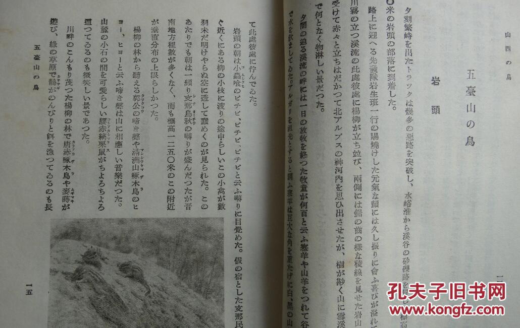 碎心石歌曲原唱曲谱(3)