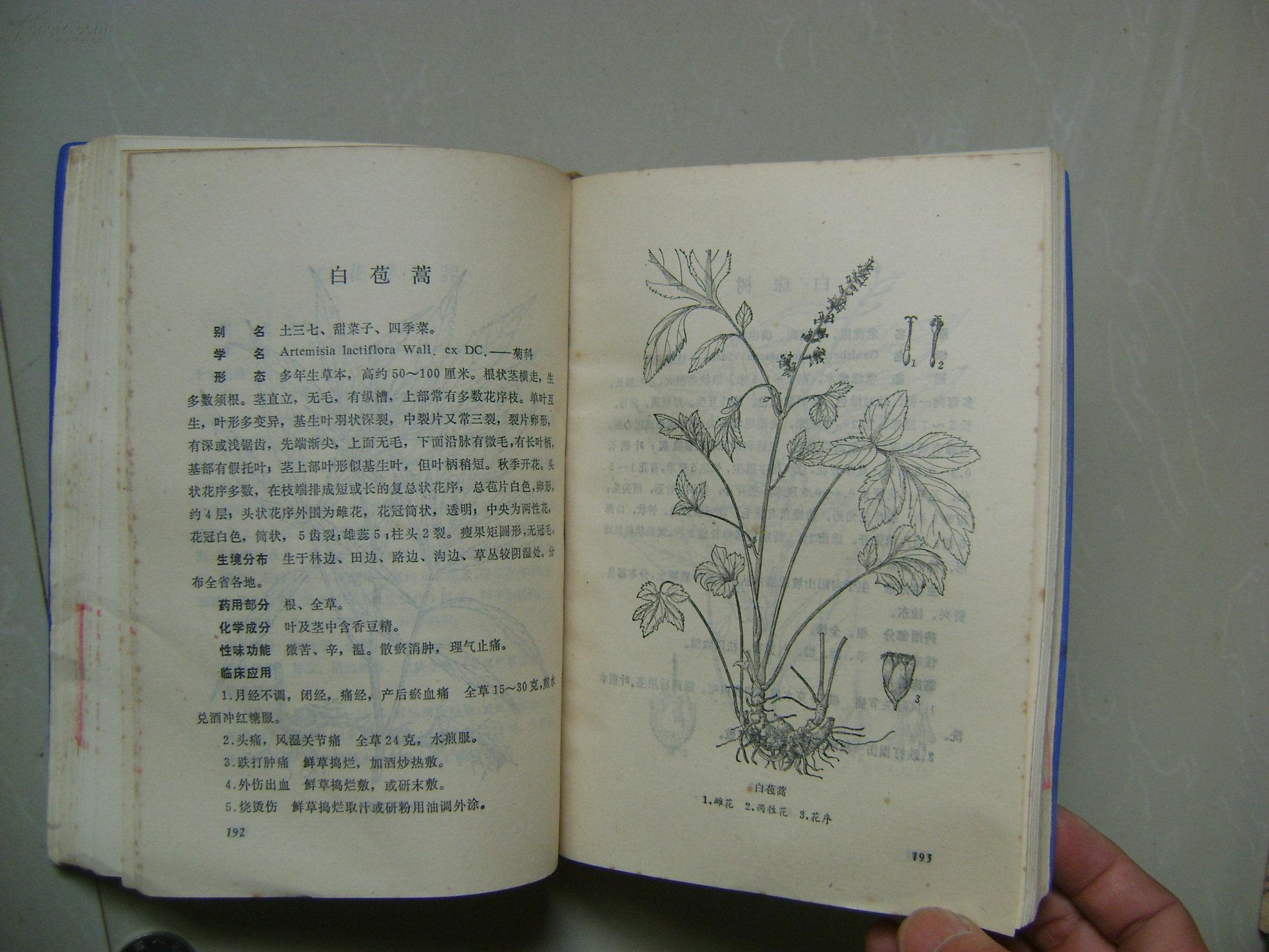 湖南药物志 第三辑(全是中草药内容)