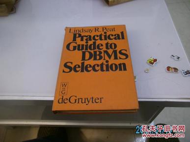 PRACTICAL GUIDETO DBMS SELECTION:实