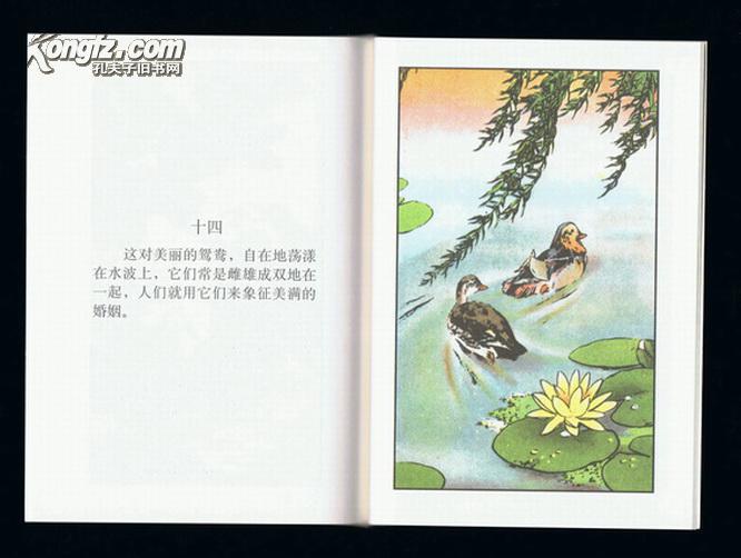 连环画:游动物园(彩色50开本,刘继卣连环画全集散本)2013年1版2印