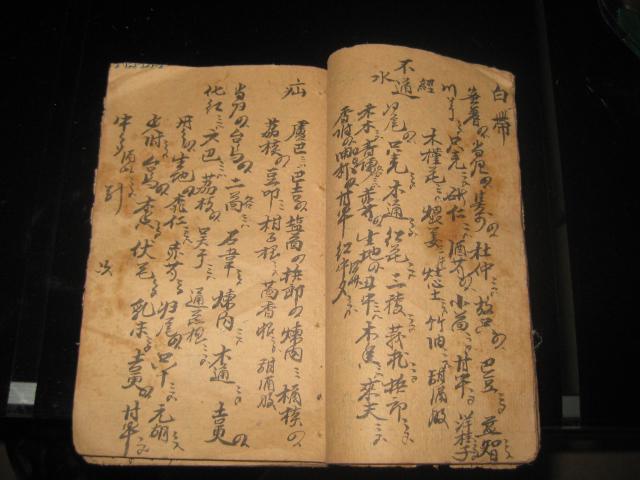 中医家传秘方写本古怪奇方