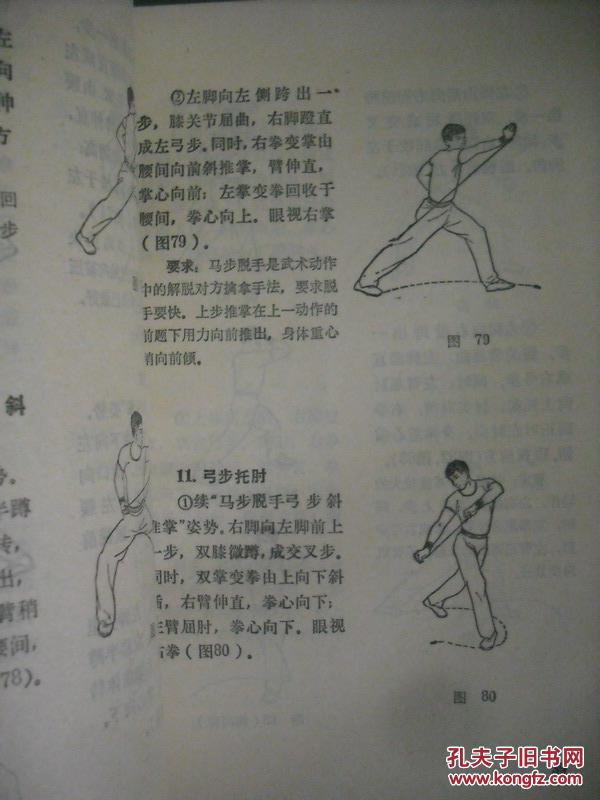 广东南拳,图解本,拳术,拳击,武术,武功,功夫