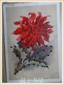 1958年苏联 明信片1张菊花（镶 凹凸小珠子）