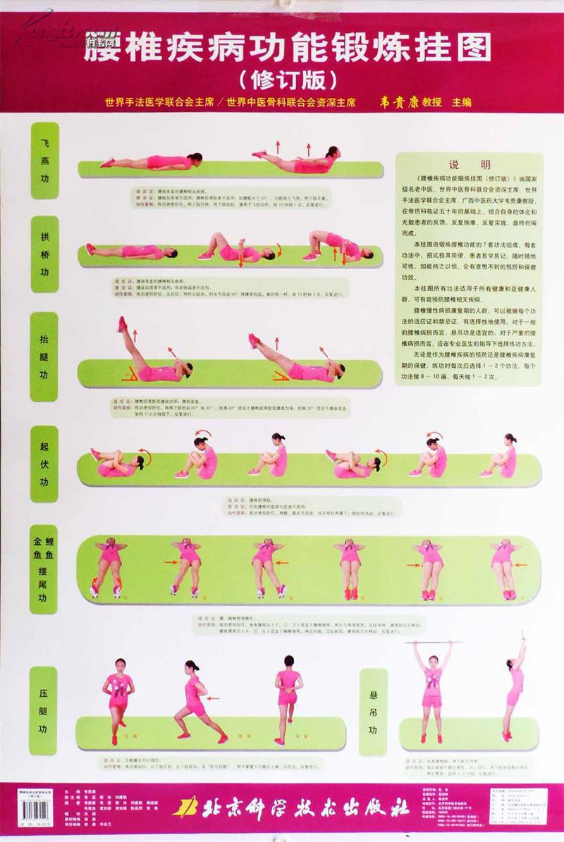 腰椎疾病功能锻炼挂图