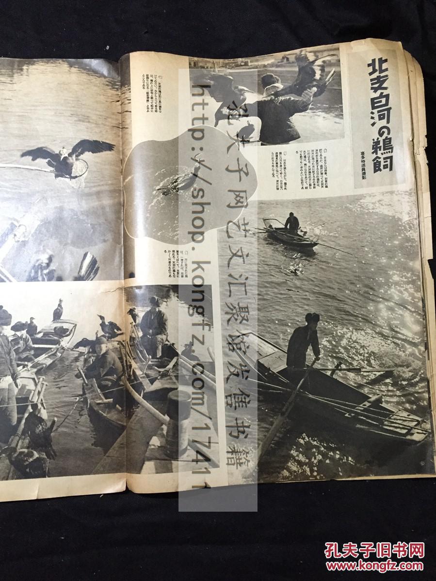 香港九龙vs上海浦东gdp_香港九龙图片(2)