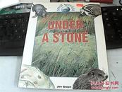 UNDER A STONE