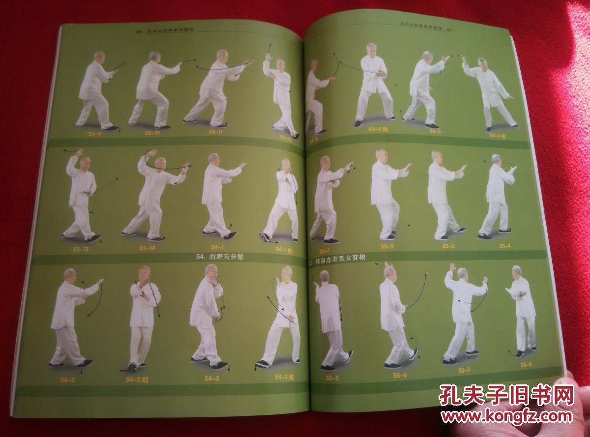 吴式太极拳拳照图谱【正版原书】
