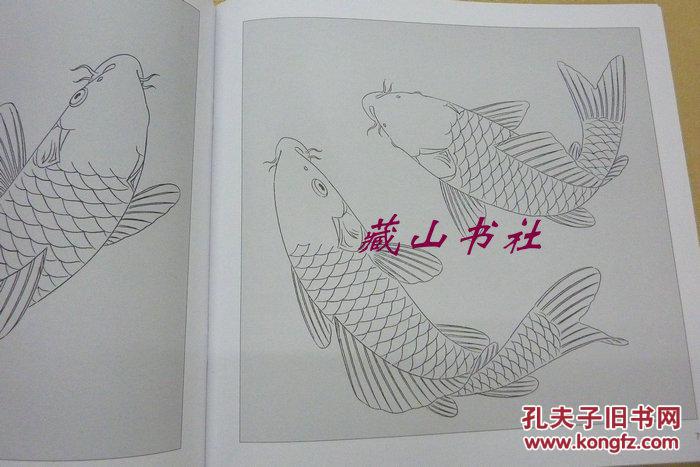 鲤鱼百态实用白描画稿
