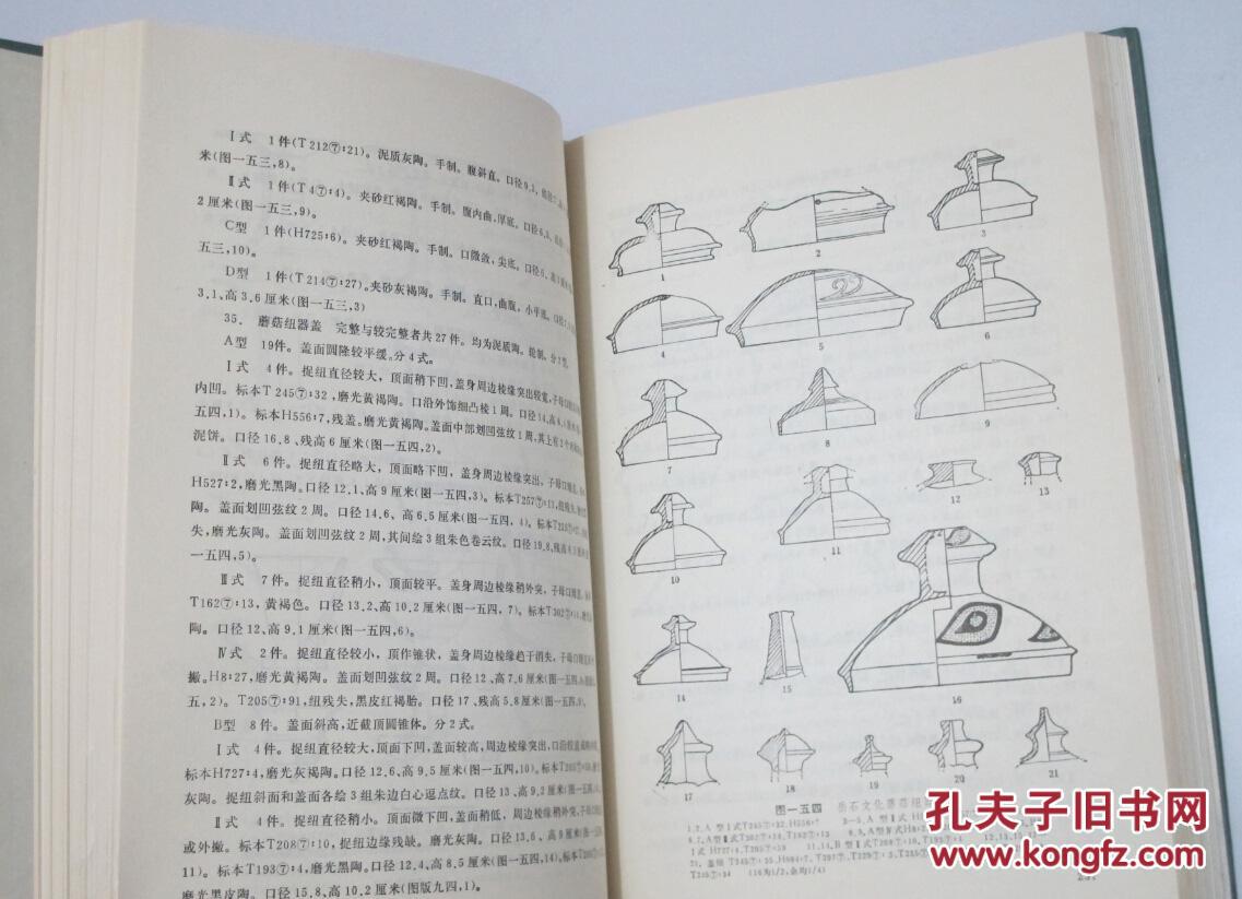 【图】泗水尹家城 山东大学历史系考古专业教