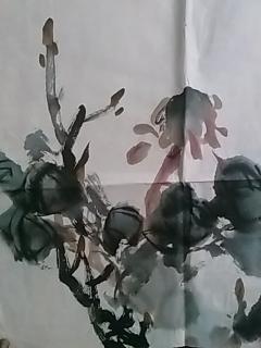 中国当代著名书画家:张金柱-精品国画《牡丹》1张(宣纸,软片,画心