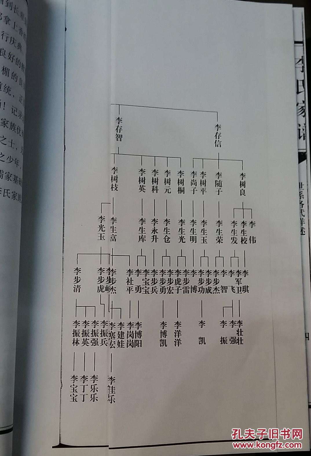 陕西家谱的渊源_现状及开发前景