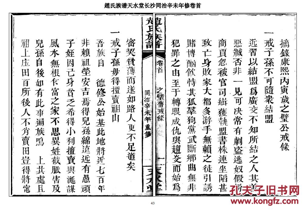 复印件赵氏族谱天水堂湖南长沙支卷首16开150页同治辛未年1871年版