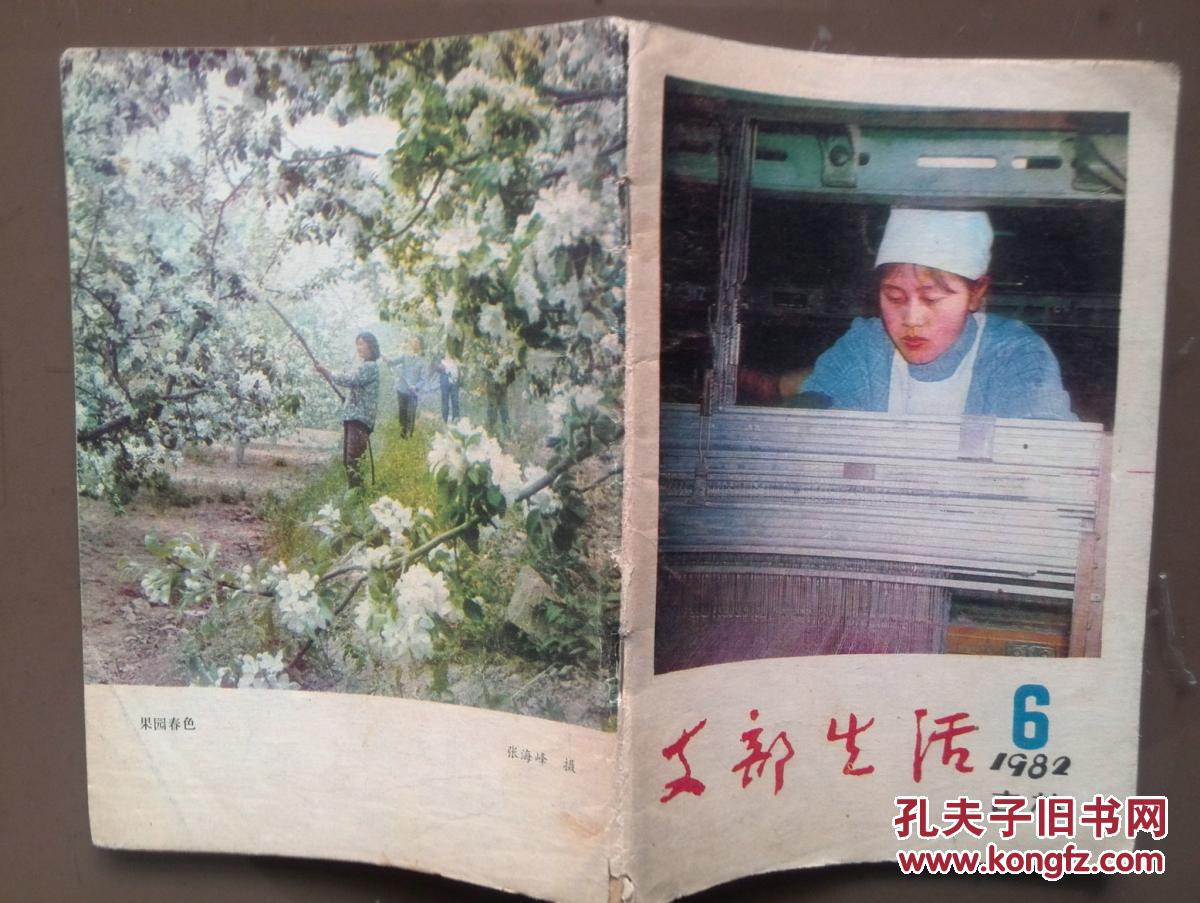 【图】支部生活(吉林)1982年第6期,封面三八红