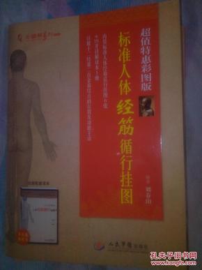 人体经筋巡行挂图6张,16开详解读本1册,详解十二经筋二百余筋结点的