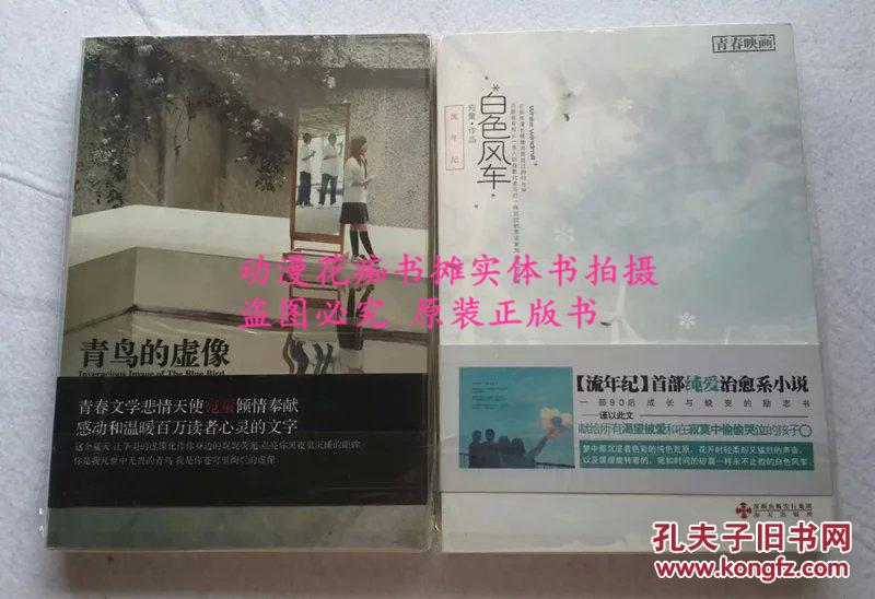 宛童《白色风车》《青鸟的虚像》正版绝版9成新2本不拆
