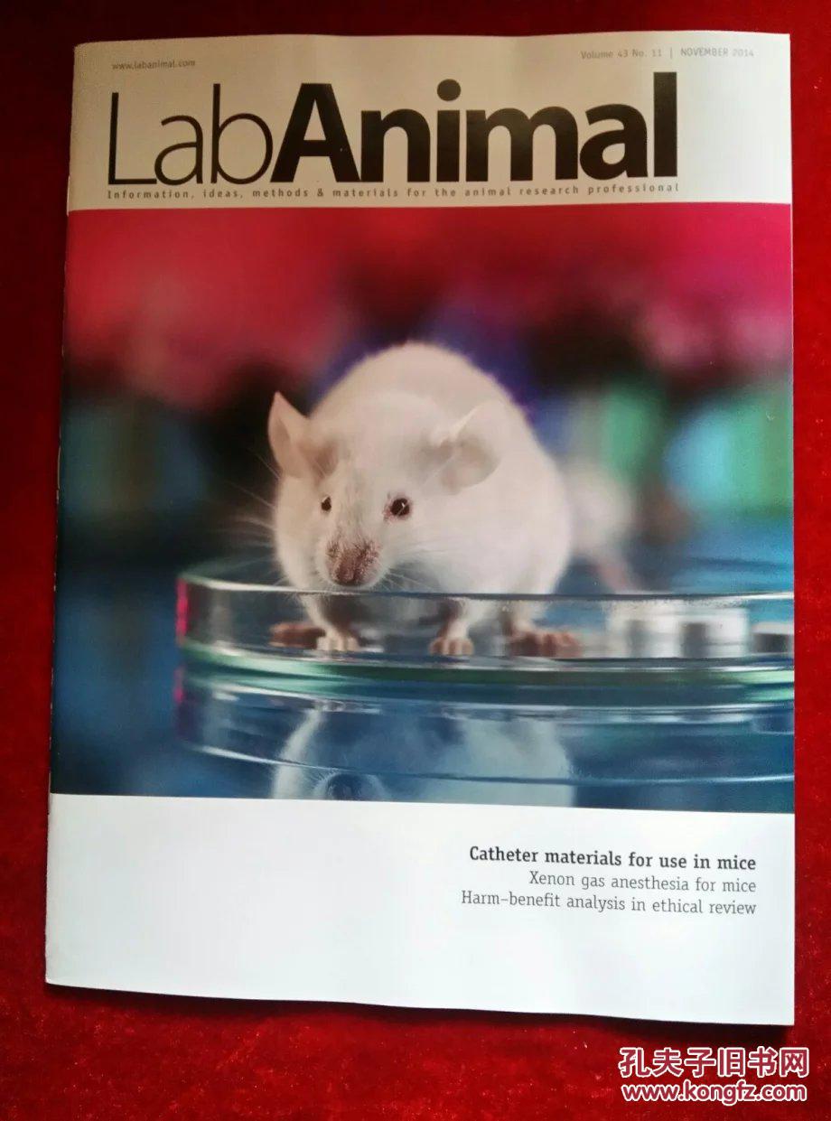 肿瘤药学杂志图片_动物学杂志_讲动物正在感染的外国杂志