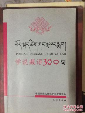 学说藏语300句_简介_作者:学说藏语300句_民