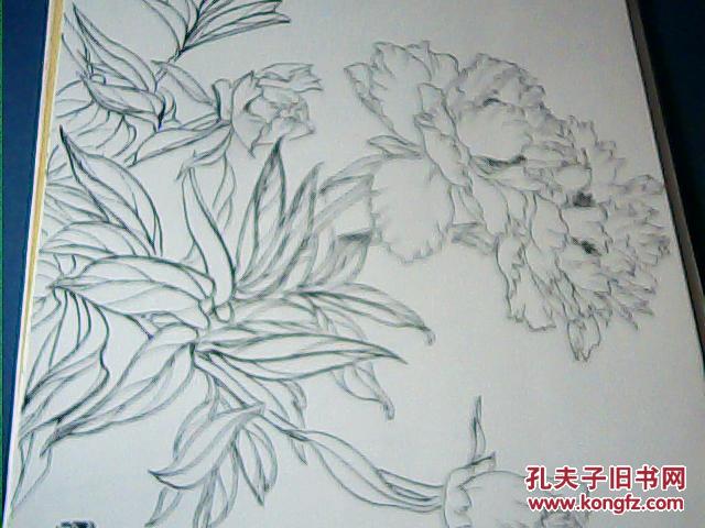 美术院校考生教学辅导临本:白描花卉(全32张)