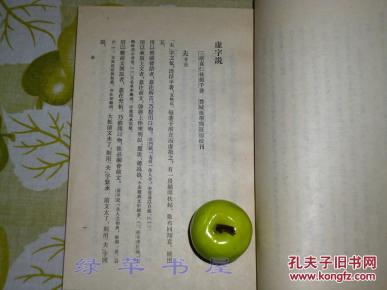 版一印 品好※ [清代语言学专著 文言文 虚词 -