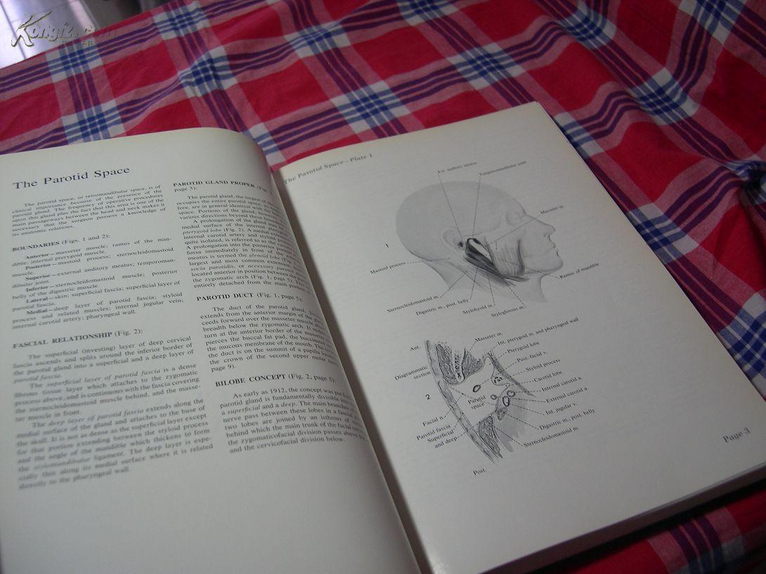 nop简谱_儿歌简谱(2)