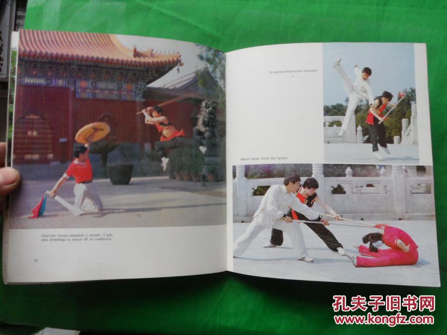 RE LAS ARTES MARCIALES CHINAS(自学中