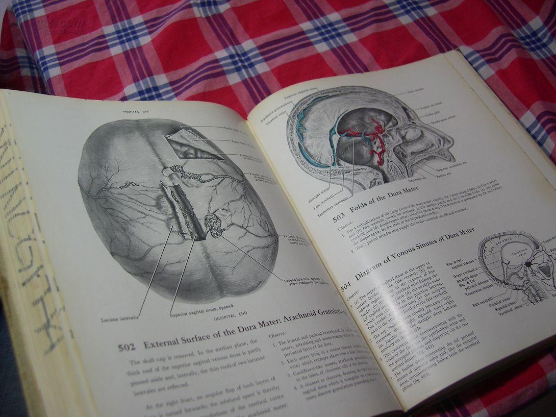 医学解剖图谱 恐怖慎入 1962年grant"s atlas of anatomy 格兰特解剖