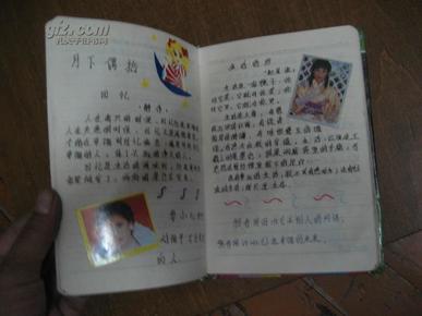 日记本(内页粘贴明星不干胶画,日记)