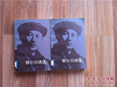 郭小川诗选_简介_作者:郭小川_人民文学出版社