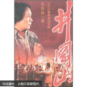 井冈山(36集电视连续剧)