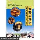 滑子菇种植技术教学图书 滑菇与黄伞生产全书