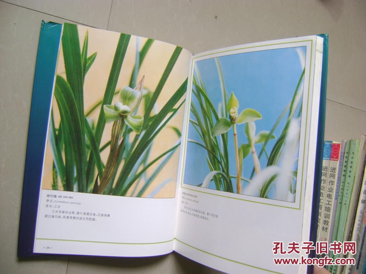 【图】中国兰花文化丛书--中国兰花素问(1)_价