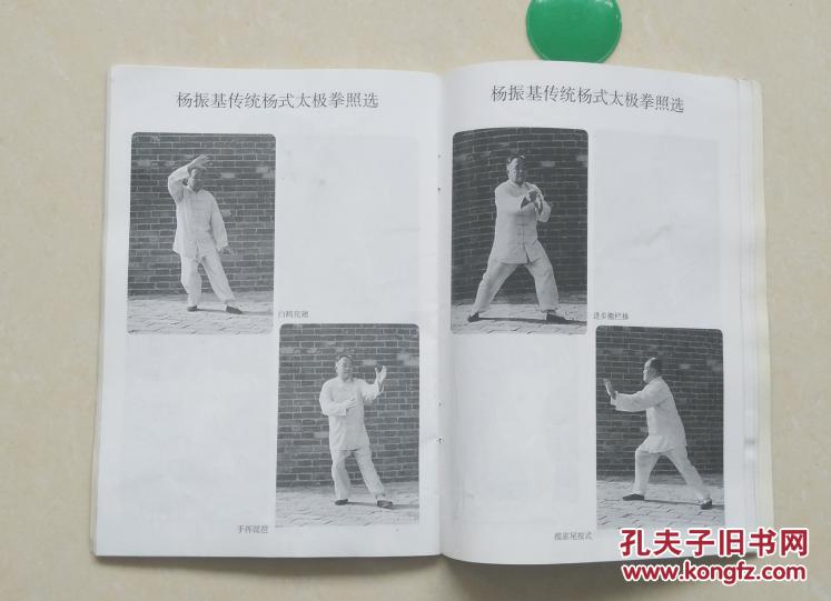 内有杨振基承传杨式太极拳谱剑谱刀谱目录)