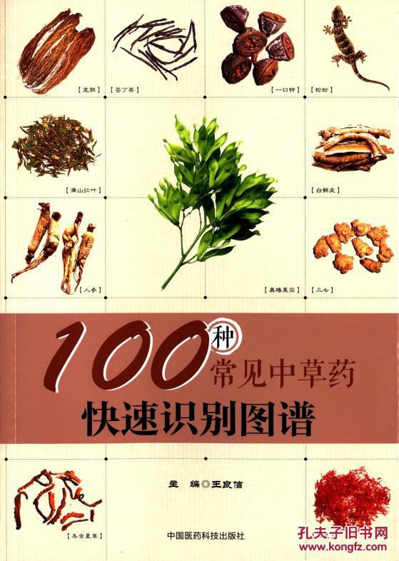 如何识别中草药