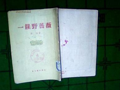 野蔷薇简谱_韩国歌曲野蔷薇花简谱(2)