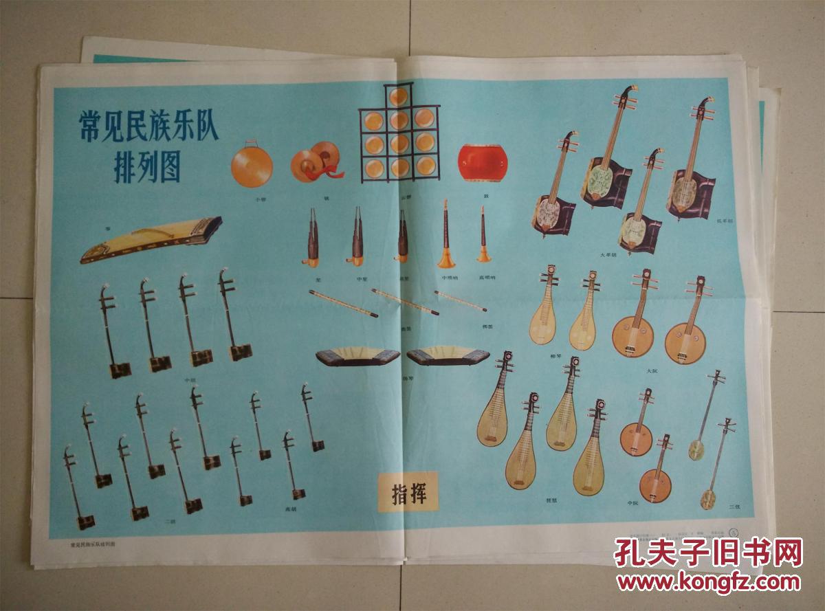 莫扎特以及常见民族,管弦乐队弹拨,拉弦,弓弦乐器,背面附各部位名称等