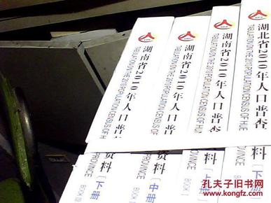 湖南省人口普查2019_湖南省老年人口大省