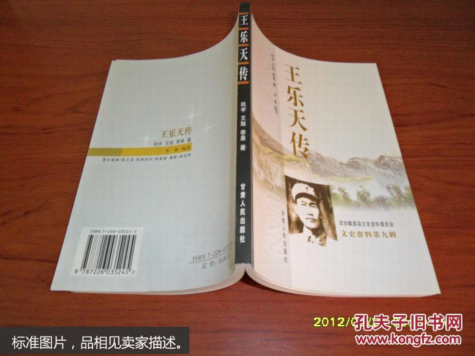 王乐天传