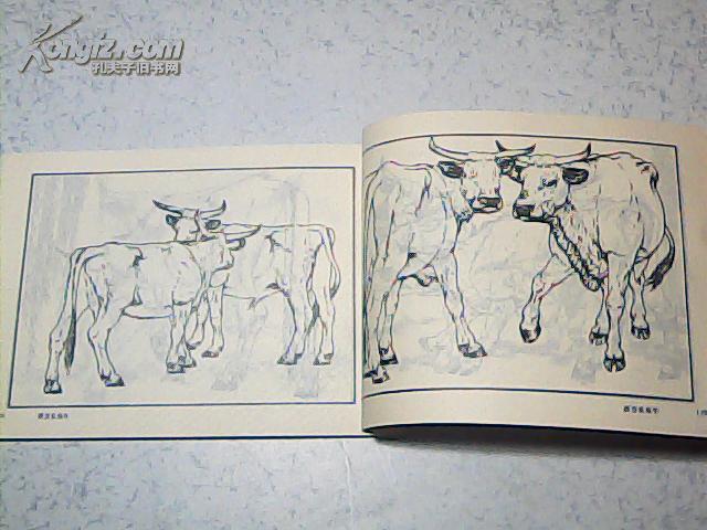 初学画牛