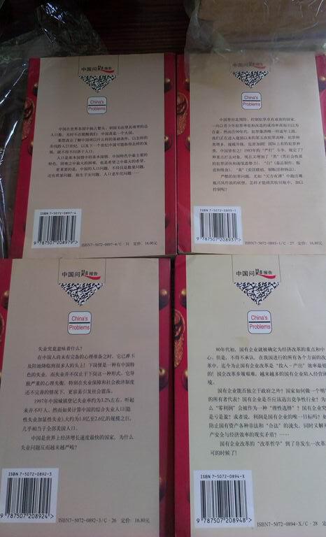 中国当代人口问题_中国问题报告:大国之难-当代中国的人口问题-文学 兰屿书屋(3)