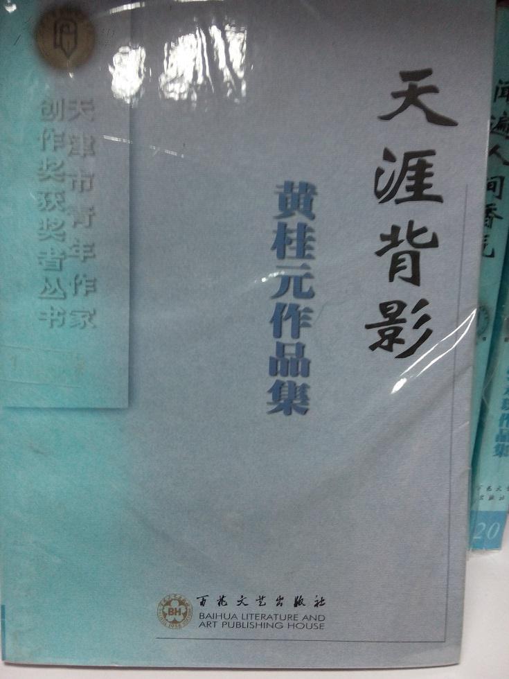天涯背影——黄桂元作品集(天津青年作家创作奖获奖丛书)