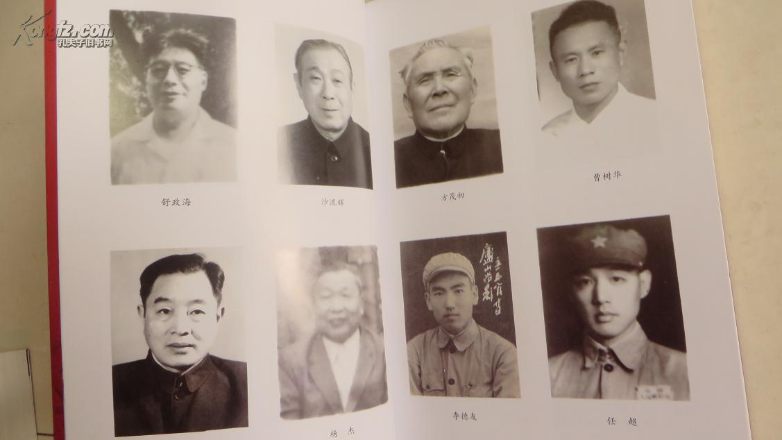 居巢中共党史人物(第一卷)