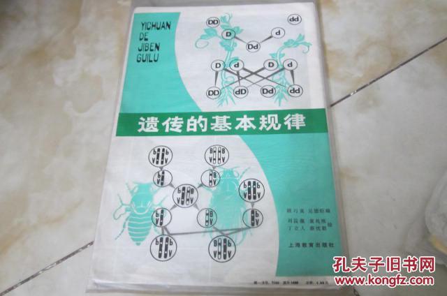 【图】高中课本生物教学挂图 遗传的基本规律
