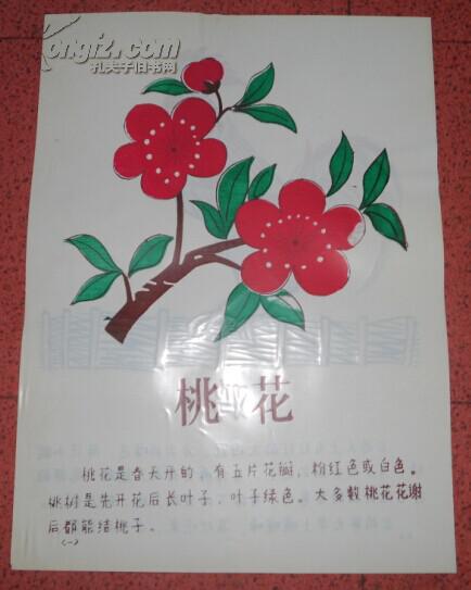 幼儿园故事教育挂图·桃花