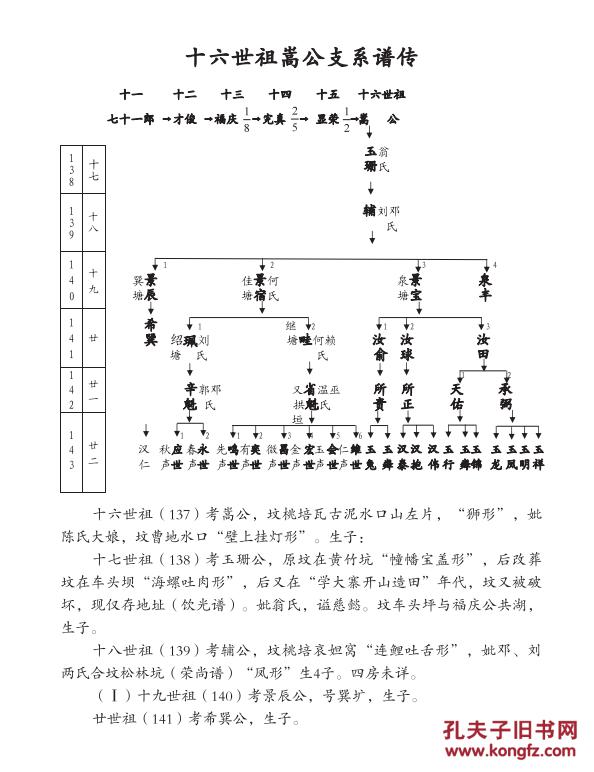 家谱----张氏族谱桃源化孙公支 16开 456页 2011年版