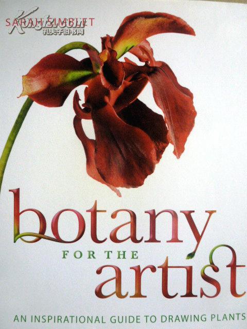 英文原版botanyfortheartistaninspirationalguidetodrawingplants