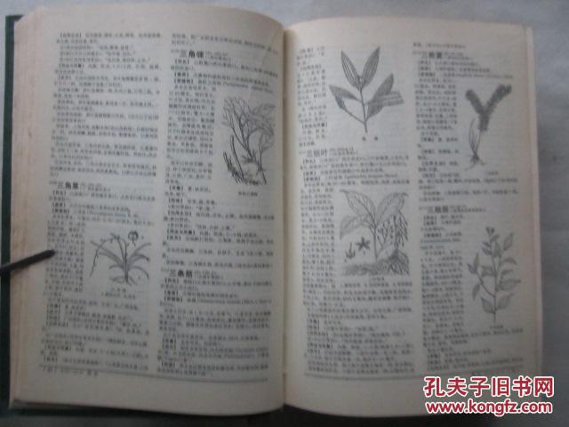 【图】中药大辞典---上册(32开精装 缩印本、中