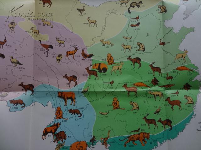 中国自然地理动物地理附中国珍贵稀有特产动物分布图