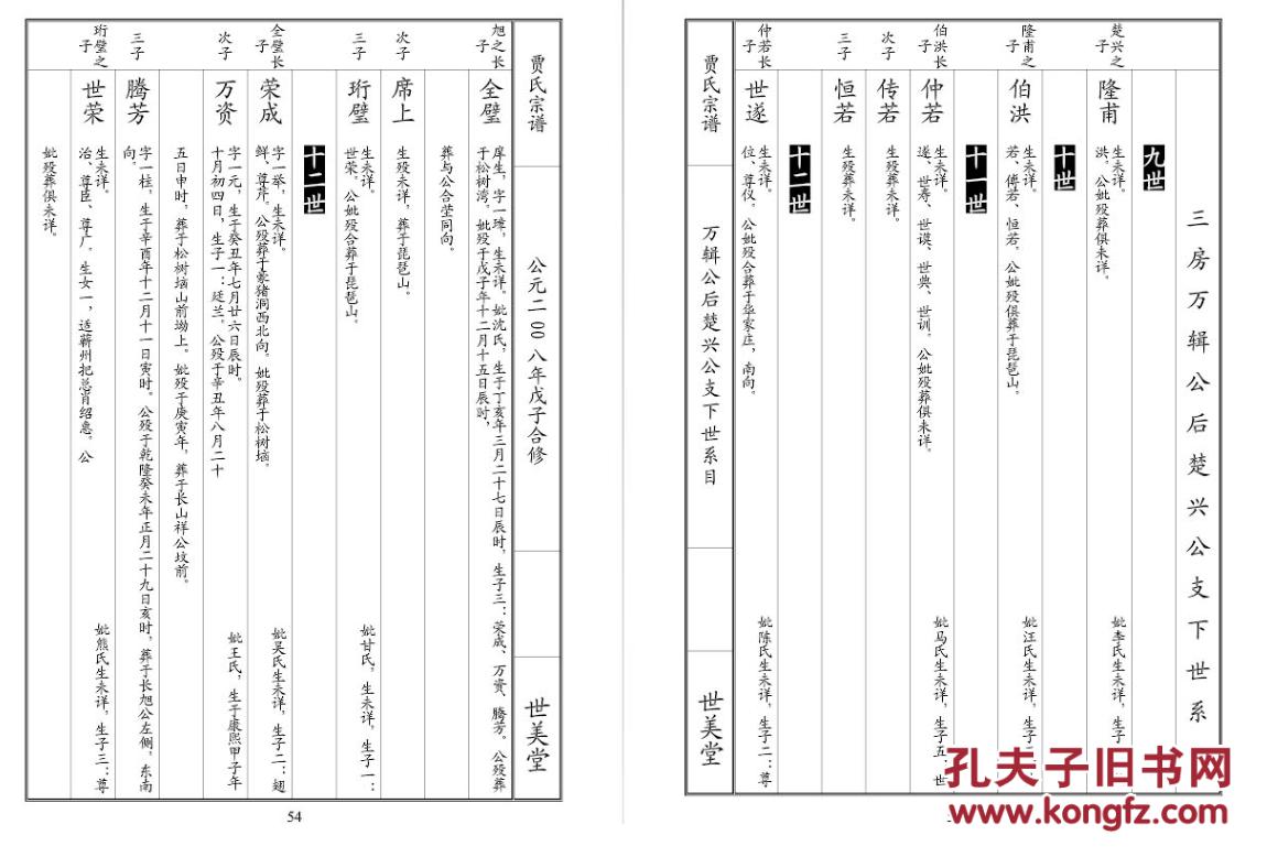 家谱----贾氏宗谱【世美堂】黄石市仲华公支 大16开 274页 2008年版