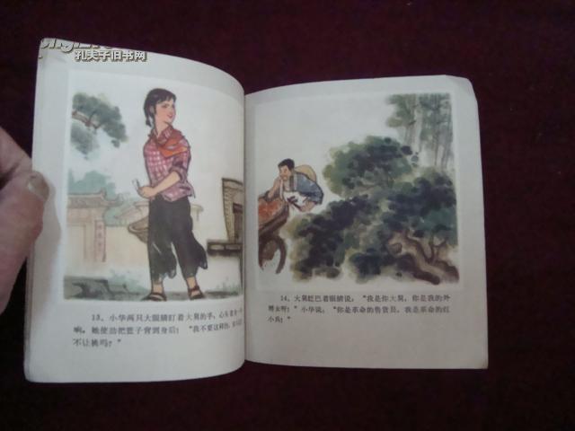 红小兵同传统观念决裂)品好