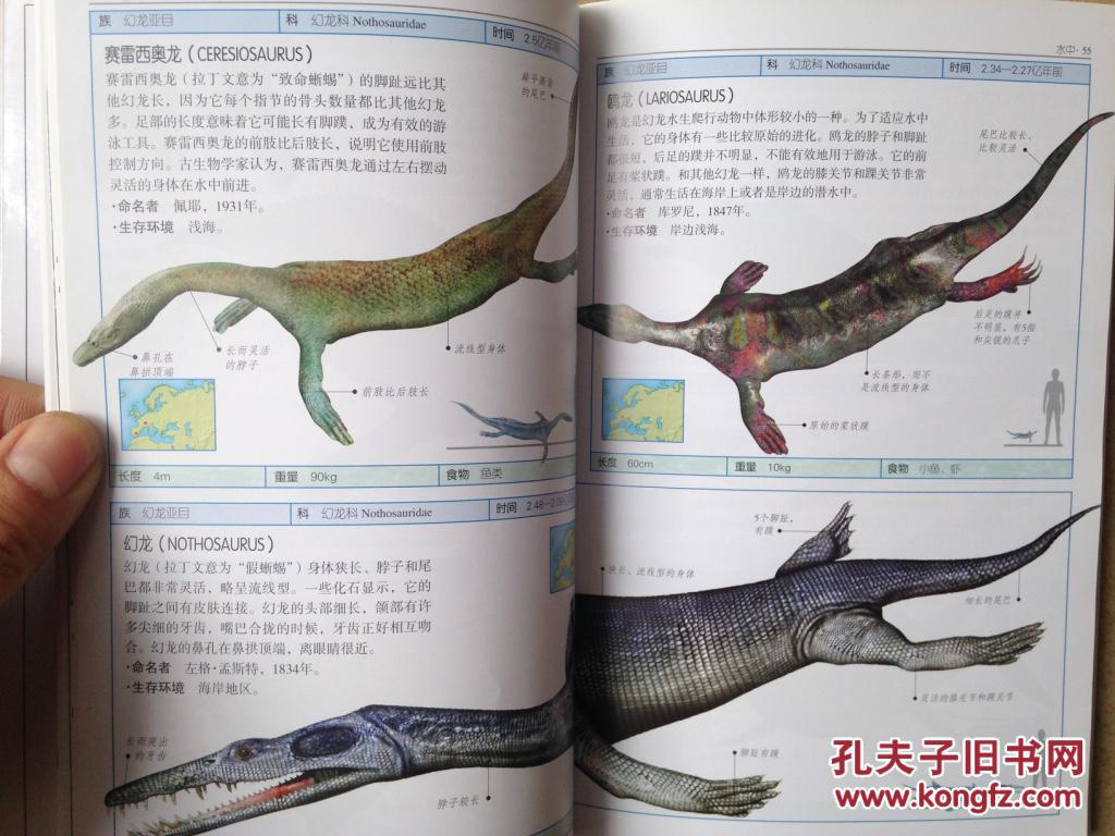 恐龙与史前生命:200多种恐龙和始祖生物的详细资料 k11